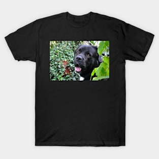 Here's Looking at You! T-Shirt